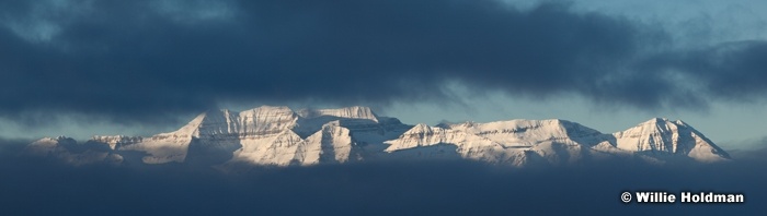 Timp Window Oppertunity 120612