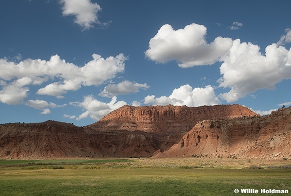 Green Pasture Teasdale 092225 6536