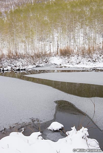 Lake Creek Spring Snow 051717 8971