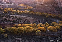 Escalante Cottonwood S Curve 102718 5826 2