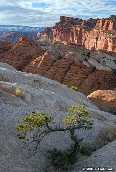 Capitol Reef Sunset 031020 3988