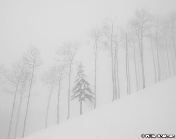 Singlepinesnowstorm121010 32