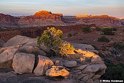 Capitol Reef Warmth 040822 0137