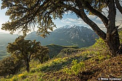 Timpanogos Spring 051816 5472 5577