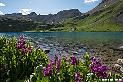 Parrys Primrose Ice Lake 070924 7106 2 2