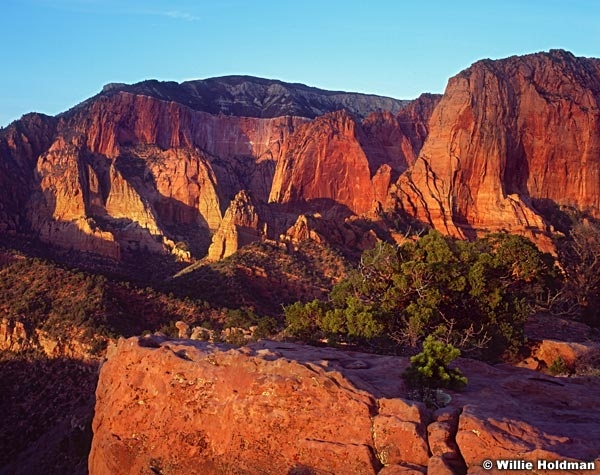 kolob3