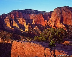 kolob3