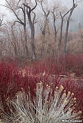 Provo Canyon Colors F 032621 7136 3