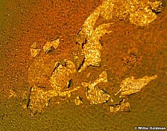 Yellowstoneminerals0009
