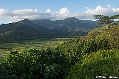 Green Fields Kauai Pano 101621 5348