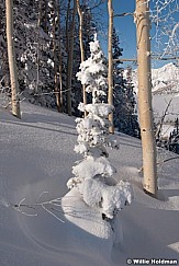 backcountryskiier012810 0562