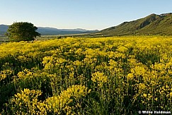 cachevalley061308 23538