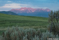 Last Green Field Heber 070125 1537