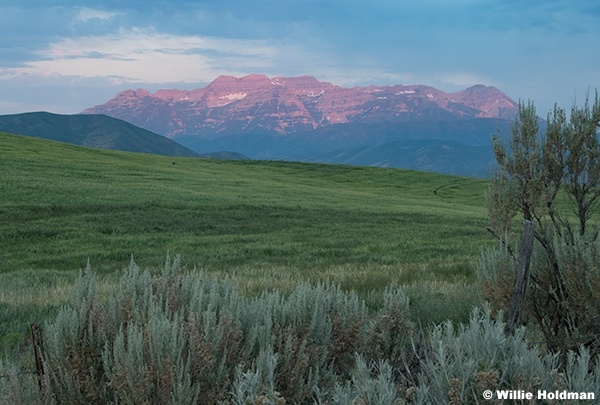 Last Green Field Heber 070125 1537