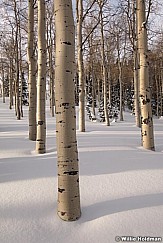 Aspensnow030210 0218