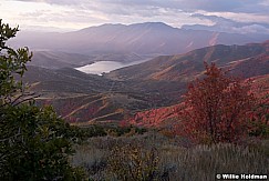 Red Maple Hillside 100219 4840