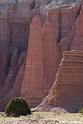 Cathedral Valley Hills 050226 6285