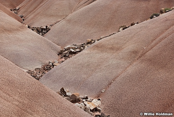 Bandlands Capitol Reef 051713 0807