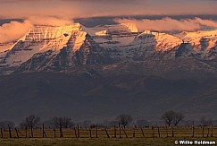 Timpfrommidway110808