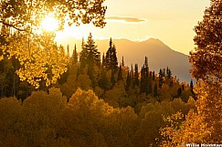 Golden Aspen Timp 092926 9386