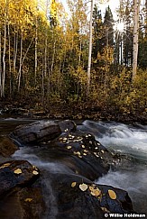 Big Cottonwood Stream 100312 548