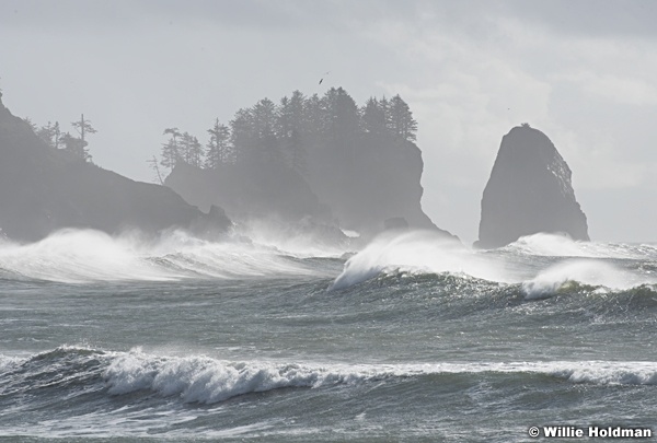 La Push Waves 102916 8659
