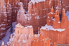 Bryce Canyon Hoodoos 121013 3422