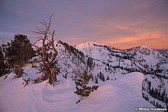 Sunrise Big Cottonwood Cornice 121819 9096 6