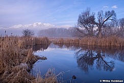 Mill Peak Pond 022714 9162