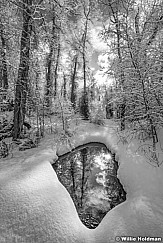 Lake Creek Stream Black and White 012720 3050