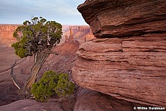 Moses Zeus Canyonlands 032613 886