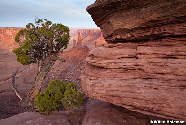 Moses Zeus Canyonlands 032613 886