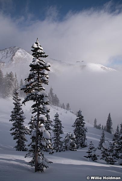 Snake Creek Powder 010320 0886