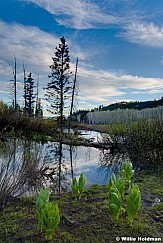 lakecreekpondsmergeexposureblending