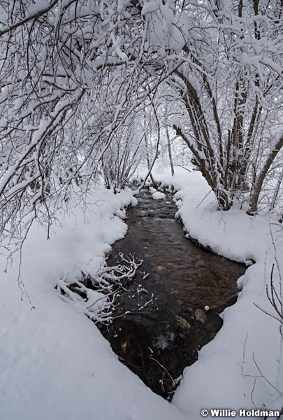 Arrow Stream Winter 010517 9103 5