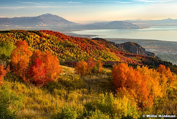 Red Maples Utah County 100822 1910