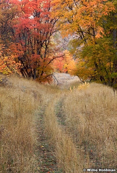 Hobblecreek010107 1048