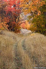 Hobblecreek010107 1048