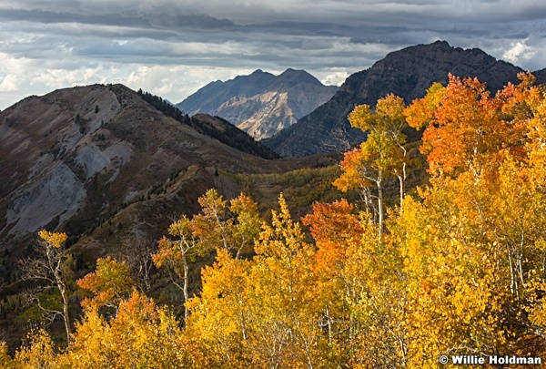 Timp Cascade Autumn 100216 2