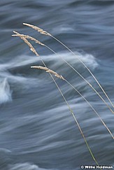 Impressionsriver091311 26