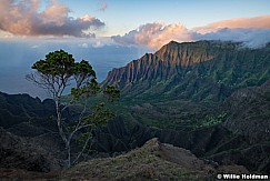 Kokee's Kauai 101821 7512