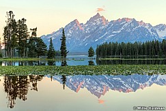 Tetonheronpondreflection071911