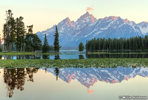 Tetonheronpondreflection071911