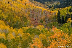 Aspen Colors 093035 0297
