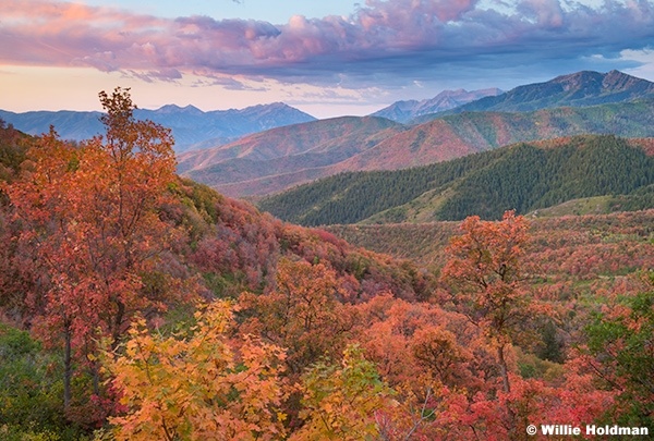 Mountain Layers Maples Timp 091425 5538