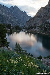 Columbine Grand Teton 072423 0414 2