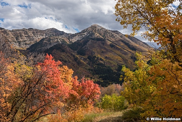 Provo Peak Autumn 1100216 0670 3