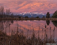 Chidister Sunset Pond F 110621 2495