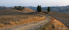 Tuscanyfields092309