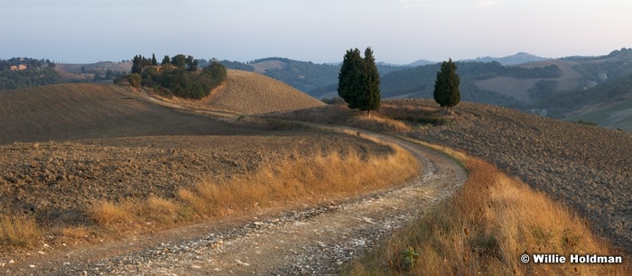 Tuscanyfields092309